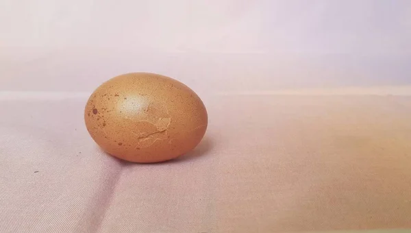 Αυγά Κοτόπουλου Λευκό Φόντο — Φωτογραφία Αρχείου