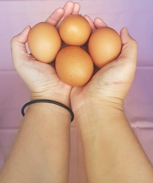 eggs in a hand on a white background