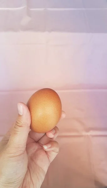 Close Hand Holding Golden Egg — Stock fotografie