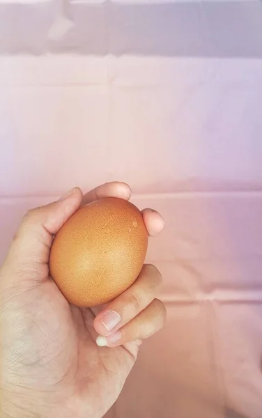 Hand Holding Golden Egg White Background — Stock fotografie