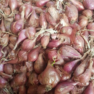 Piyasada taze sarımsak