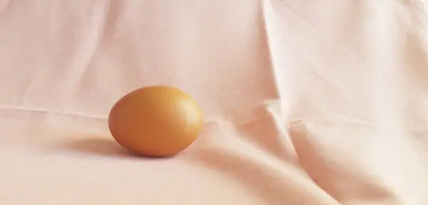 Курячі Яйця Білому Фоні — стокове фото