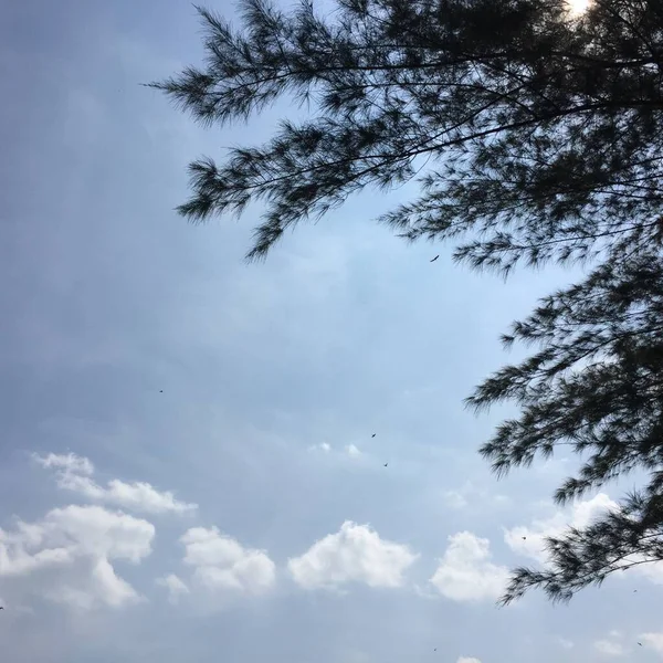Прекрасний Вид Небо — стокове фото