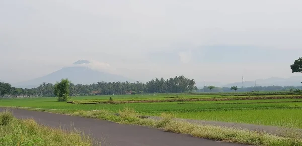 Hermosa Vista Naturaleza Escena — Foto de Stock