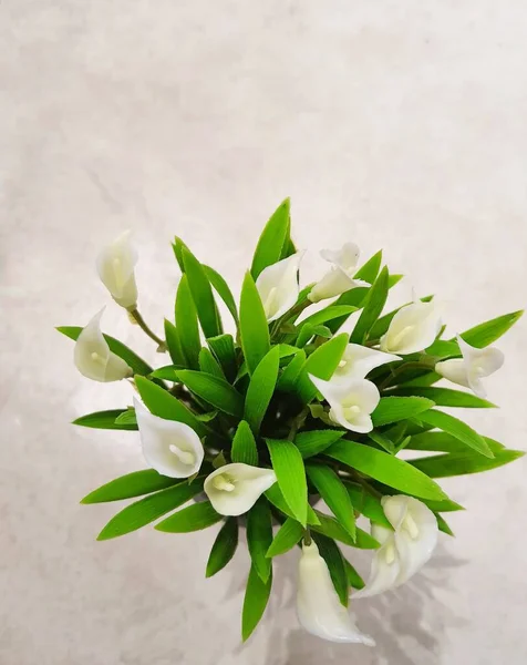 White Lilies Pots Table Decoration — ストック写真