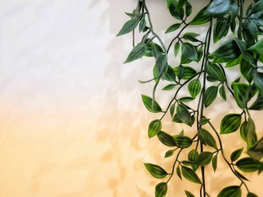 Leaves hanging on the wall create a photo with copy space or negative space to use as your template.