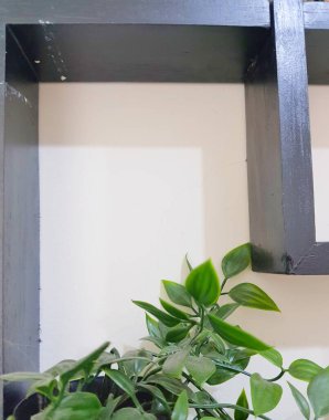 Leaves hanging on the wall create a photo with copy space or negative space to use as your template.