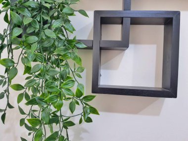 Leaves hanging on the wall create a photo with copy space or negative space to use as your template.