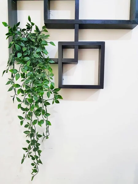 Leaves hanging on the wall create a photo with copy space or negative space to use as your template.