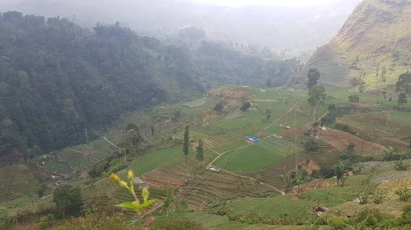 View of the hilly area in West Java. Green hills in summer with various kinds of plants.