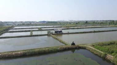 Situation in a pond on the outskirts of Jakarta. Where in the pool of ponds there is a simple hut as a place for pond guards to watch over their ponds.