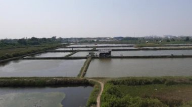 Situation in a pond on the outskirts of Jakarta. Where in the pool of ponds there is a simple hut as a place for pond guards to watch over their ponds.