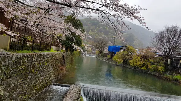 Schöne Kirschblüten Rande Von Hozu Das Fuße Des Arashiyama Gebirges — Stockfoto