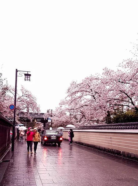 2019年4月8日京都 雨が降っているので傘を使いながら歩いています 京都の春への移行期ですが まだ桜が咲いています — ストック写真
