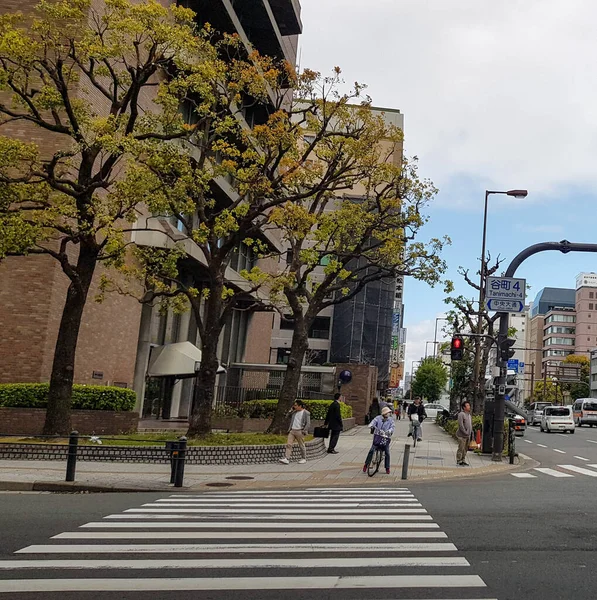 Osaka Japon Avril 2019 Situation Passage Pour Piétons Une Grand — Photo