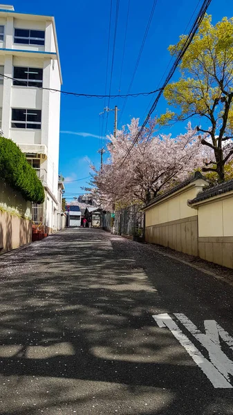 Osaka Japão Abril 2019 Situação Rua Uma Área Residencial Osaka — Fotografia de Stock