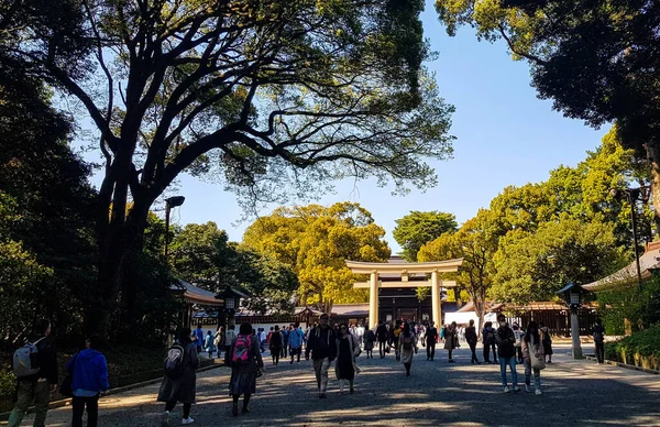 2019年4月 游客们走在原宿森林的入口处 前往明治寺 明治寺以其吉日公园和原宿森林而闻名 — 图库照片