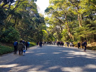 Japonya 2019 Nisan 'ında. Harajuku Şehir Ormanı 'nın girişinden Meiji Tapınağı' na doğru yürüyen turistler. Meiji Tapınağı Yoyogi Parkı ve Harajuku Şehir Ormanı ile ünlüdür..