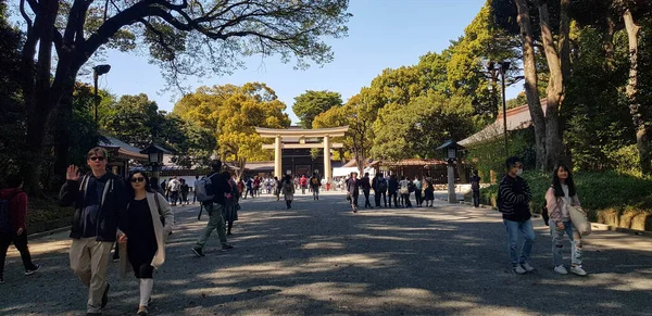 Japon Avril 2019 Touristes Marchant Entrée Forêt Harajuku City Direction — Photo