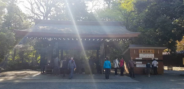 2019年4月の日本 アジア インド アメリカ ヨーロッパからの観光客が明治寺を訪れています 東京都渋谷区にある日本有数の神社 — ストック写真