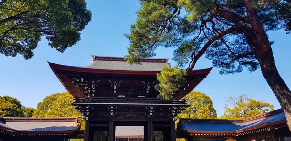 2019年4月 来自亚洲 美洲和欧洲的游客正在参观明治寺 日本最有名的神道神龛之一位于东京石谷区 — 图库照片
