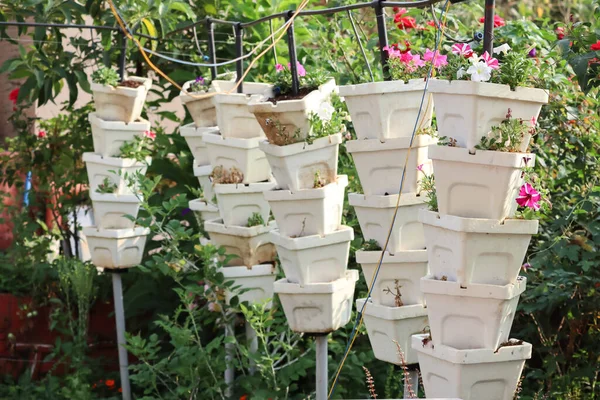 Arranjo Único Vasos Flores Para Jardim Casa Com Água Gotejamento — Fotografia de Stock