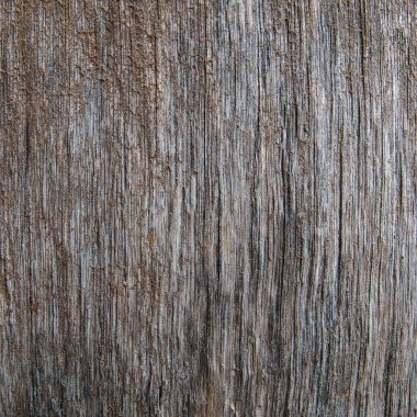 Pürüzlü, kurumuş ahşap doku.