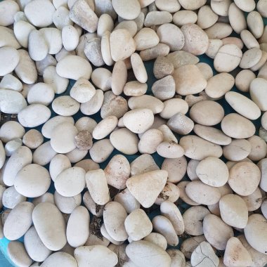 Beyaz çakıl yığını.