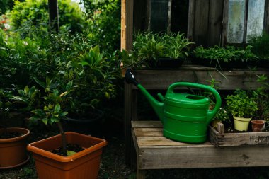 Bahçedeki sulama kutusu