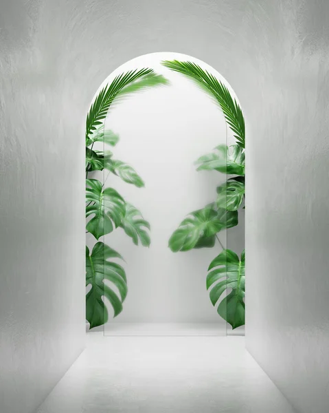 White tunnel natural wall fresh and bright presentation showcase beauty. Plant monstera green concept nature skincare cosmetic display product advertisement backdrop  frosted glass. 3D Illustration.