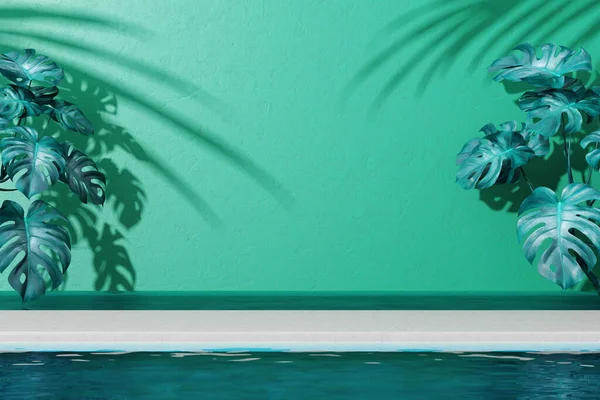 Tropical Display Nature Shadow Palm Coconut Tree Wall Monstera Leaf — 图库照片