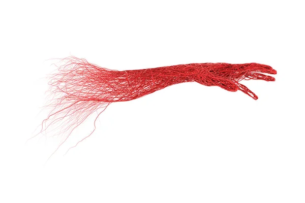 Abstract Hands Object Red Blood Veins Arteries Aorta Knit Tangled — Fotografia de Stock
