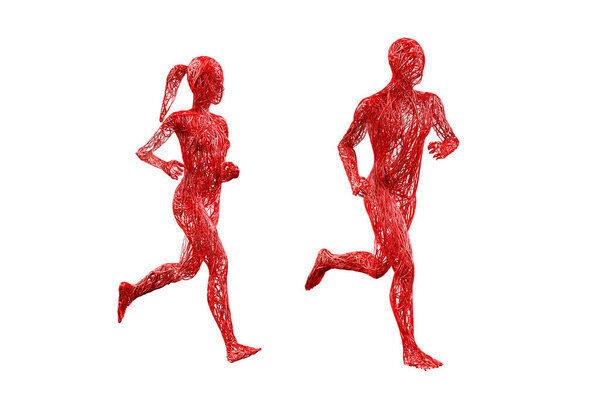 Two people woman man male female veins blood red tangled body movement running posture on white background. medical sports science of anatomy human body. Isolated with clipping path. 3D Illustration.