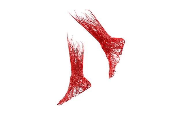 Perna Vermelho Sangue Veias Artérias Aorta Malha Emaranhado Fundo Branco — Fotografia de Stock