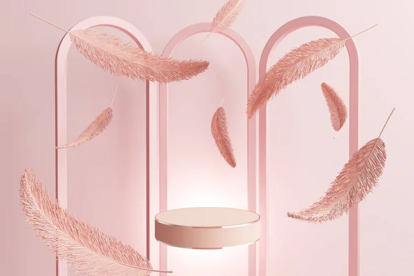 Platform Podium Girl Pink Light Baby Luxury Feather Angel Feminine — 图库照片