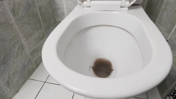 Aliran air di toilet — Stok Video