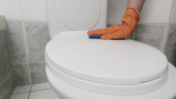 Cleaning toilet bowl — Stock Video