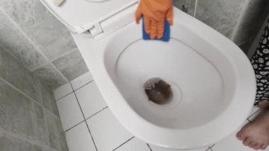 Klozet Temizleme