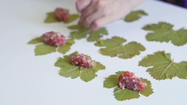 自制的塞满了切肉的葡萄叶.填装葡萄叶子 — 图库视频影像