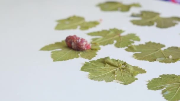 Hojas de uva rellenas caseras con carne picada. Relleno de hojas de uva — Vídeos de Stock
