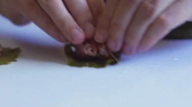 Ev yapımı doldurulmuş üzüm yaprakları ve kıyma. Üzüm yaprakları.