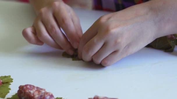 Zelfgemaakte gevulde druivenbladeren met gehakt vlees. Druivenbladeren vullen — Stockvideo