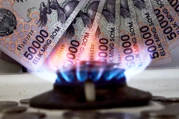 Burning gas stove burner and money