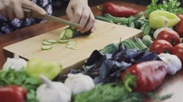 Woman cutting fresh cucumber — Stock Video