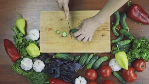 Woman cutting fresh cucumber — Stock Video