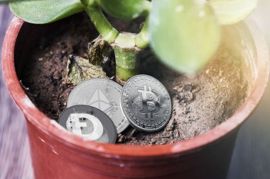 Kripto para birimine yatırım