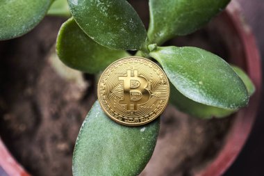 Kripto para birimine yatırım