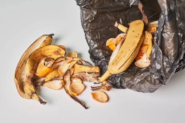 Banánové slupky v popelnici — Stock fotografie