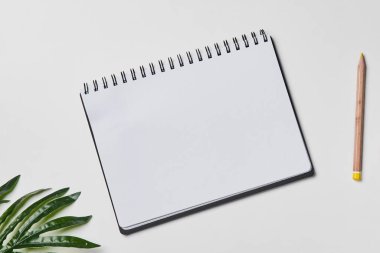 Parlak ofis çalışma alanı