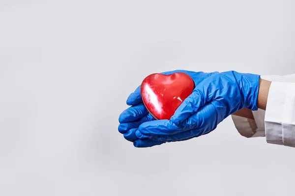Mão Vestindo Luva Médica Azul Segurando Modelo Coração Vermelho Para — Fotografia de Stock